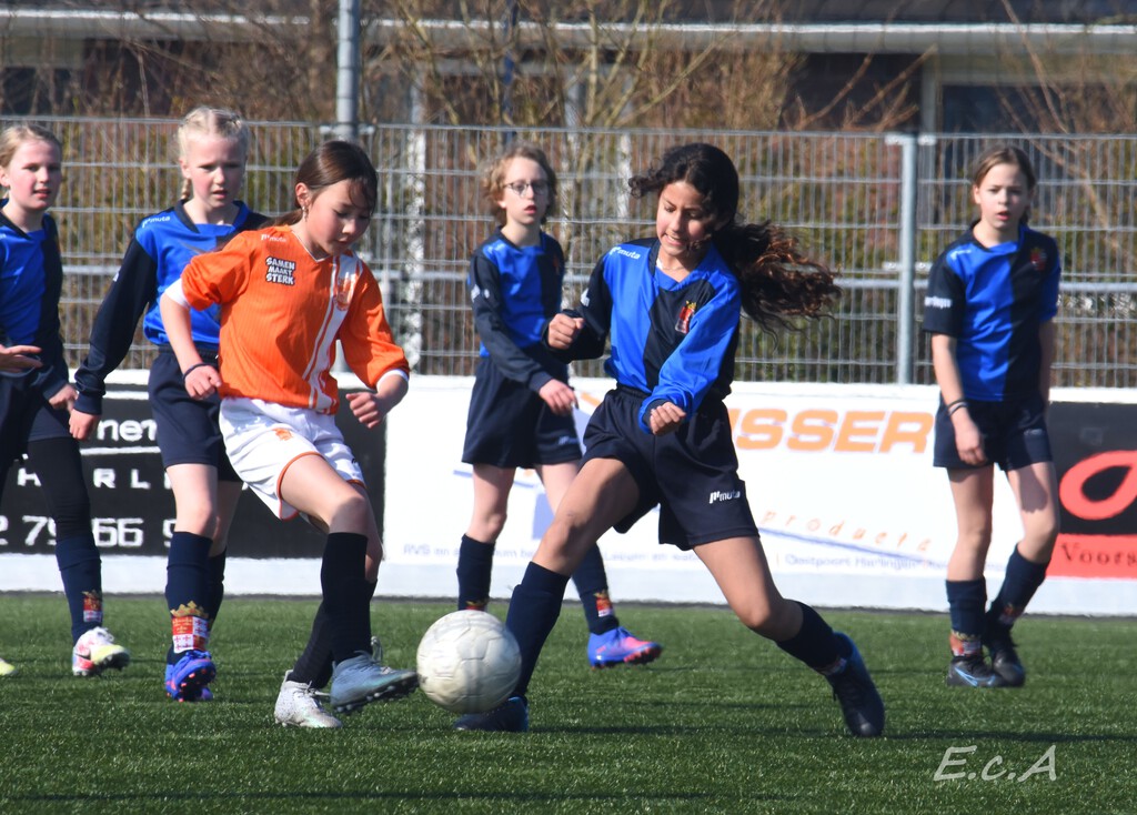 fc-Harlingen-MO11-1-online-1-1024x734.jpg