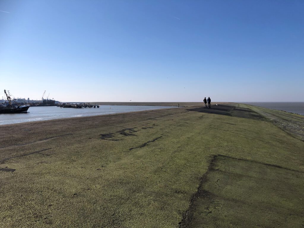 Noorderpier-Harlingen-1024x768.jpg