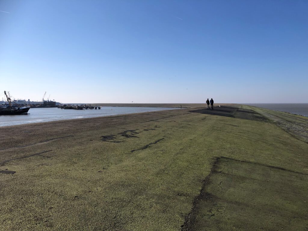 noorderpier-harlingen-002-1024x768.jpg