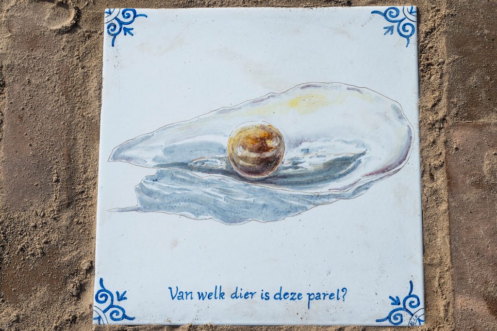 Een-van-de-tegels-Educatieve-Looproute-1024x683.jpg